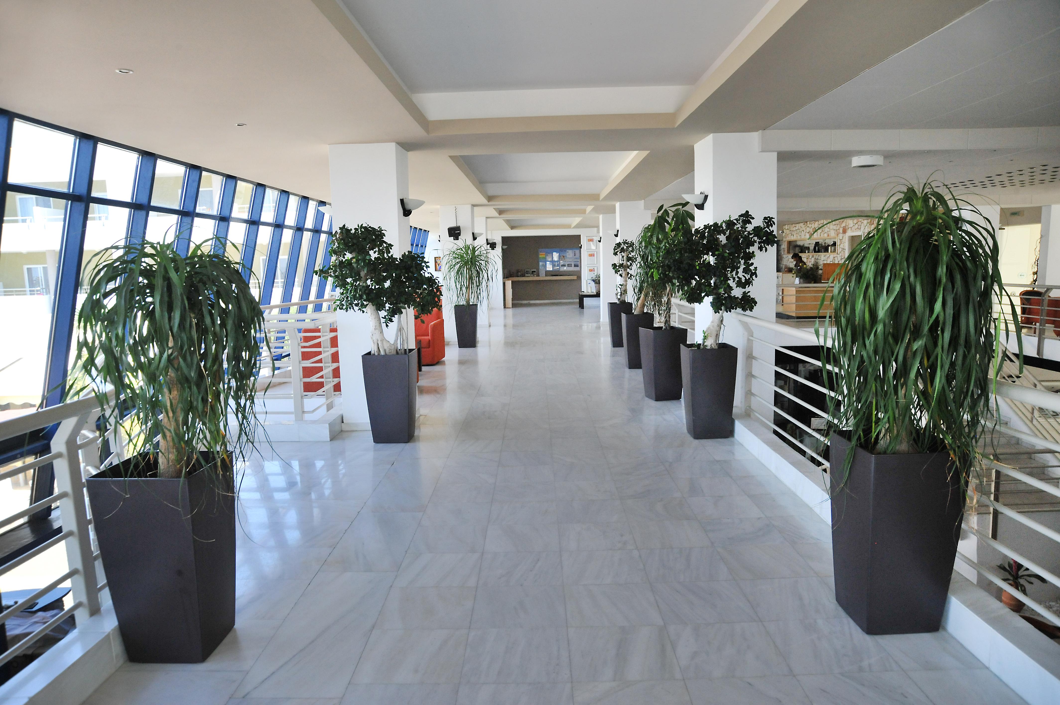 Kos Palace ตีกากี ภายนอก รูปภาพ